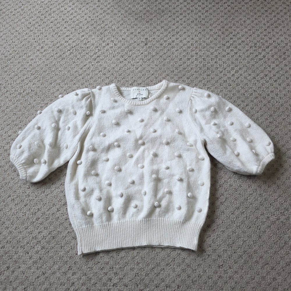 Demylee x J. Crew Sweater - Picture 1 of 6